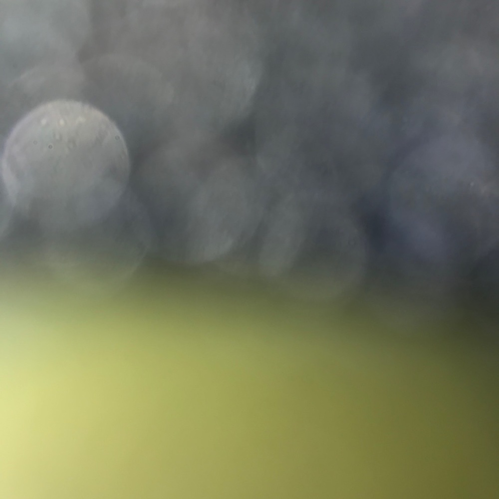 Meet your Posher, Obed